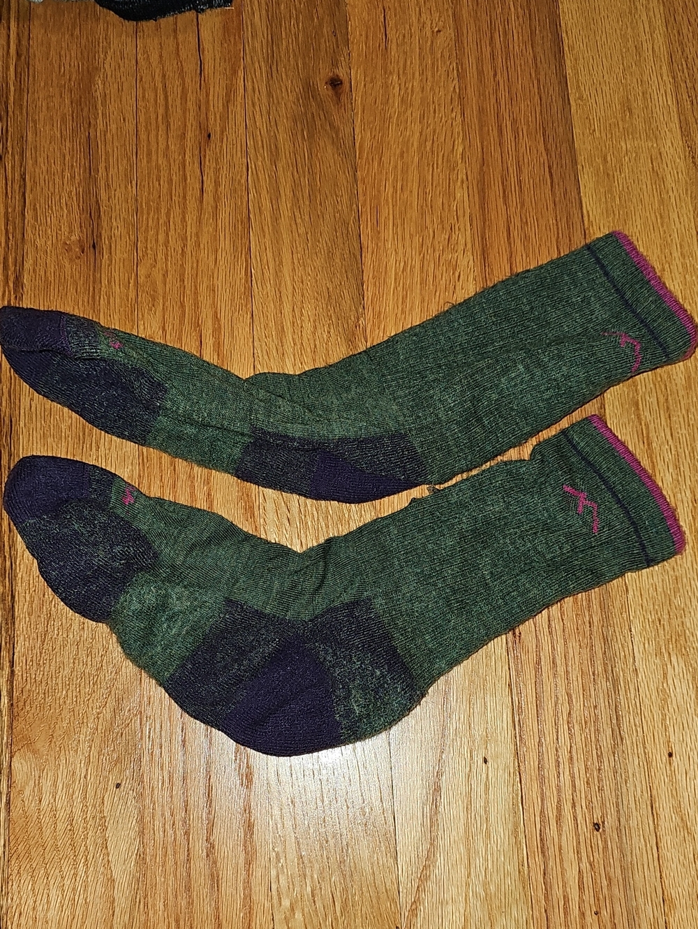 Darn Tough Women's Medium Green Crew Socks with Purple Accents
